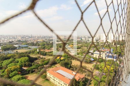 Apartamento para alugar com 97m², 3 quartos e 1 vaga Apartamento para alugar com 97m², 3 quartos e 1 vagaVista do Quarto 3