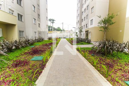 Apartamento para alugar com 40m², 2 quartos e sem vaga Apartamento para alugar com 40m², 2 quartos e sem vagaÁrea Comum