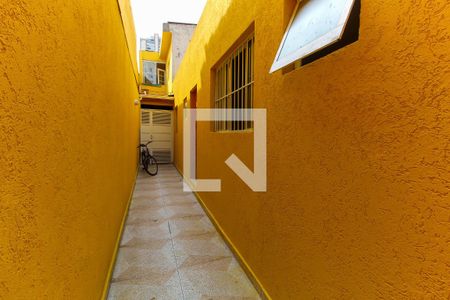 Casa para alugar com 40m², 1 quarto e sem vaga Casa para alugar com 40m², 1 quarto e sem vagaQuintal