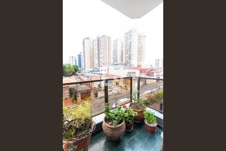 Apartamento à venda com 112m², 3 quartos e 2 vagasSacada da Suite