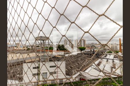 Apartamento à venda com 74m², 3 quartos e 1 vagaSuíte - Vista