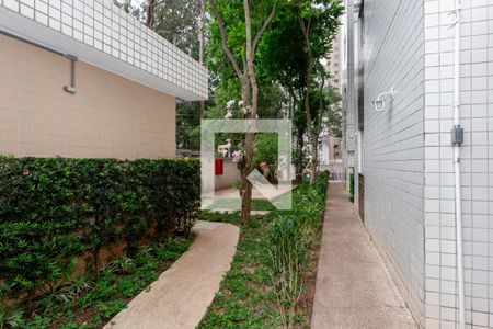 Apartamento para alugar com 48m², 2 quartos e 1 vaga Apartamento para alugar com 48m², 2 quartos e 1 vagaÁrea Verde