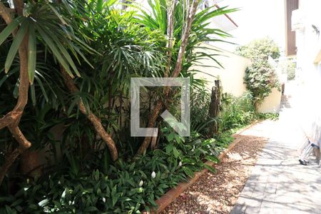 Casa para alugar com 790m², 4 quartos e 6 vagasQuintal