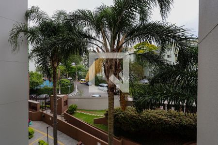 Vista da Suíte de apartamento à venda com 3 quartos, 56m² em Vila Amélia, São Paulo