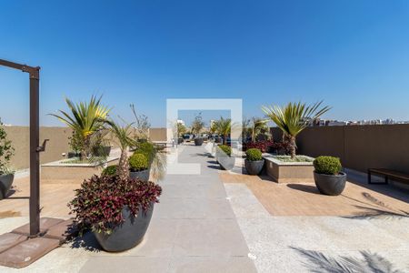 Apartamento para alugar com 34m², 2 quartos e sem vaga Apartamento para alugar com 34m², 2 quartos e sem vagaCobertura - Solário