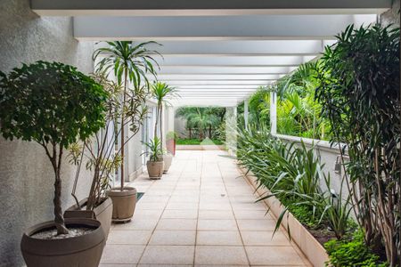 Apartamento para alugar com 80m², 2 quartos e 2 vagas Apartamento para alugar com 80m², 2 quartos e 2 vagasÁrea comum