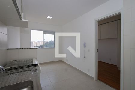 Sala/ Cozinha de apartamento para alugar com 1 quarto, 29m² em Jardim Mirante, São Paulo