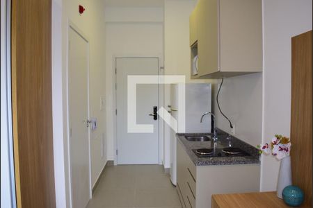 Studio para alugar com 25m², 1 quarto e sem vagaCozinha - detalhe porta de entrada