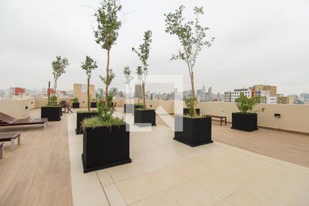 Apartamento para alugar com 37m², 1 quarto e sem vagaÁrea Comum