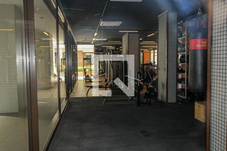 Apartamento para alugar com 100m², 3 quartos e 2 vagas Apartamento para alugar com 100m², 3 quartos e 2 vagasÁrea comum - Academia