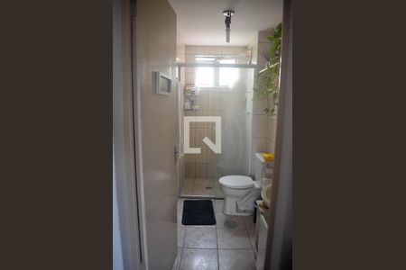 Banheiro de apartamento à venda com 2 quartos, 56m² em Conjunto Residencial Souza Queiroz, Campinas