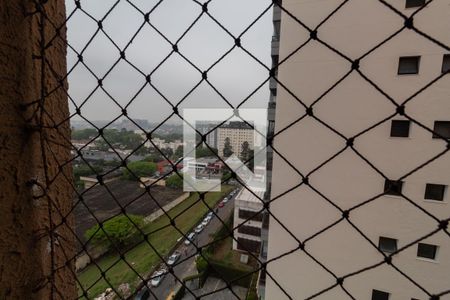 Apartamento para alugar com 148m², 4 quartos e 4 vagasVista do Quarto 3