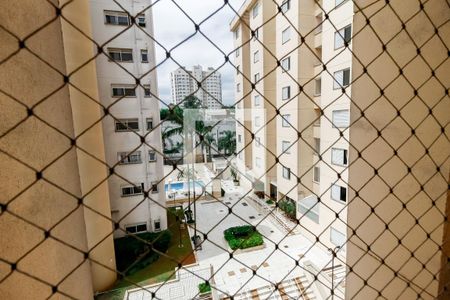 Vista da Varanda de apartamento para alugar com 2 quartos, 55m² em Vila Andrade, São Paulo
