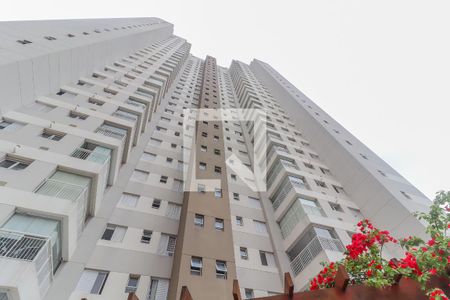 Apartamento para alugar com 70m², 2 quartos e 1 vaga Apartamento para alugar com 70m², 2 quartos e 1 vagaFachada