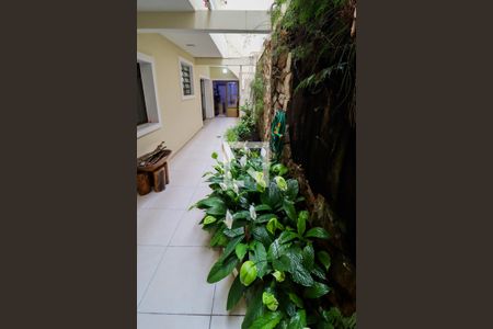 Casa à venda com 520m², 6 quartos e 4 vagasPiso 1:  Jardim