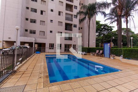Área comum - Piscina de apartamento para alugar com 2 quartos, 50m² em Mooca, São Paulo