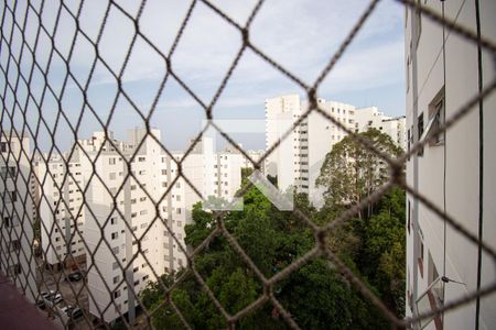 Vista da Sala de apartamento à venda com 3 quartos, 72m² em Vila Monumento, São Paulo