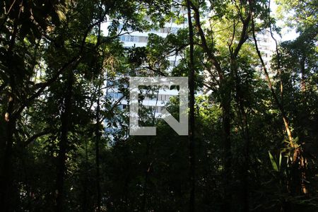 Apartamento para alugar com 99m², 3 quartos e 1 vagaÁrea comum Bosque