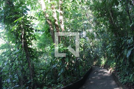 Apartamento para alugar com 99m², 3 quartos e 1 vagaÁrea comum Bosque