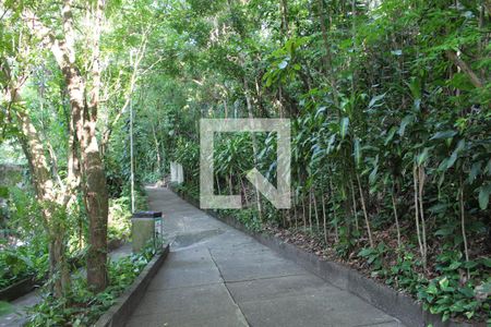 Apartamento para alugar com 99m², 3 quartos e 1 vagaÁrea comum Bosque