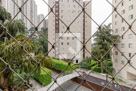 Apartamento para alugar com 54m², 2 quartos e 1 vaga Apartamento para alugar com 54m², 2 quartos e 1 vagaVista do Quarto 1