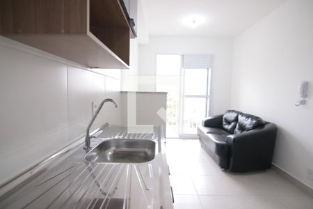 Cozinha de apartamento para alugar com 1 quarto, 29m² em Vila Ré, São Paulo