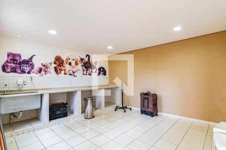 Apartamento à venda com 62m², 2 quartos e 1 vaga Apartamento à venda com 62m², 2 quartos e 1 vagaÁrea comum - Espaço Pet