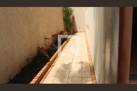 Casa para alugar com 500m², 4 quartos e 6 vagasÁrea externa - Corredor Lateral