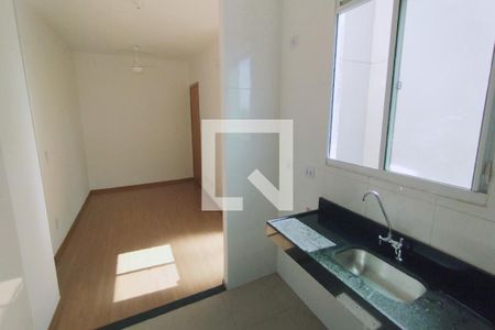 Cozinha - Lavanderia de apartamento para alugar com 2 quartos, 50m² em Recreio das Acácias, Ribeirão Preto