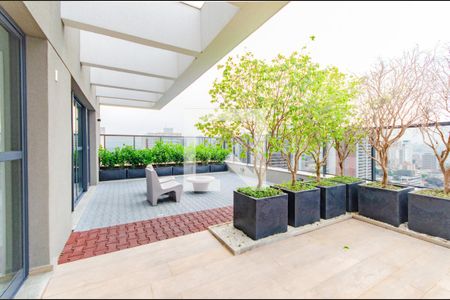 Apartamento para alugar com 33m², 1 quarto e sem vaga Apartamento para alugar com 33m², 1 quarto e sem vagaÁrea Comum