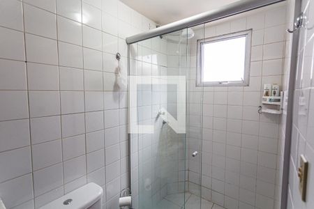 Banheiro da Suíte de apartamento para alugar com 3 quartos, 72m² em Colégio Batista, Belo Horizonte