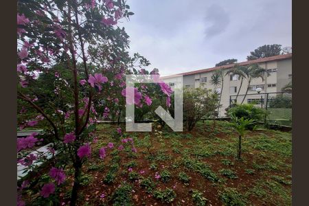 Vista Sala de apartamento à venda com 2 quartos, 70m² em Parque Mandaqui, São Paulo