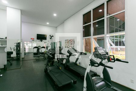 Apartamento à venda com 234m², 4 quartos e 4 vagasÁrea comum - Academia