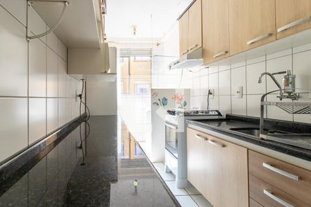 Apartamento para alugar com 48m², 2 quartos e 1 vagaCozinha - Armários