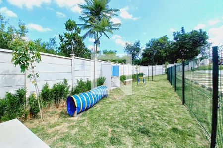 Área comum - Pet de apartamento para alugar com 2 quartos, 43m² em Jardim García, Campinas