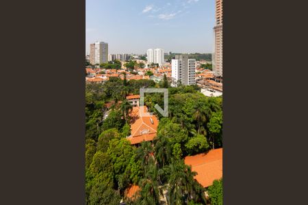 Apartamento para alugar com 48m², 2 quartos e sem vagaVista da Área de Serviço