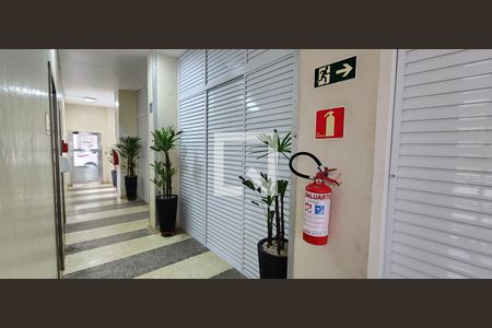 Apartamento para alugar com 64m², 2 quartos e 1 vaga Apartamento para alugar com 64m², 2 quartos e 1 vagaHall de entrada