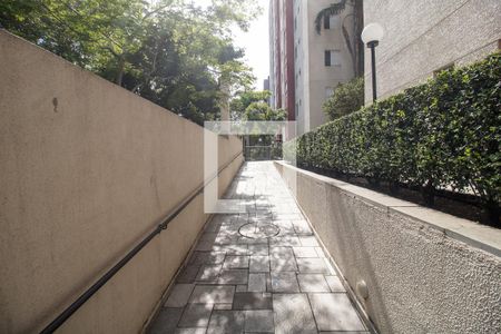 Apartamento para alugar com 63m², 2 quartos e 1 vagaÁrea comum 