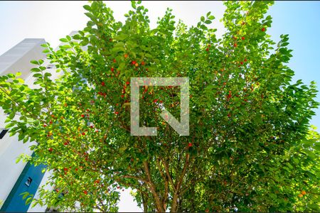 Apartamento para alugar com 79m², 3 quartos e 2 vagasÁrea Comum