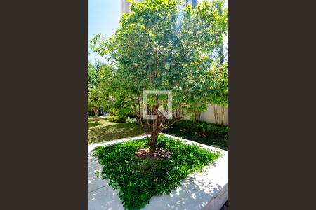 Apartamento para alugar com 79m², 3 quartos e 2 vagasÁrea Comum