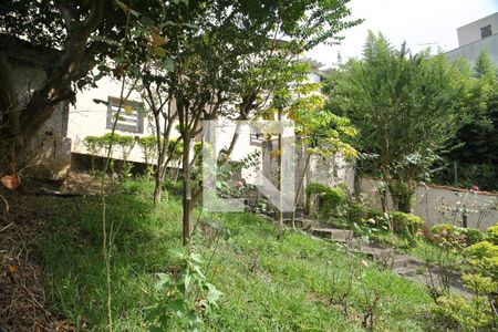 Casa para alugar com 370m², 3 quartos e 6 vagas`Area verde