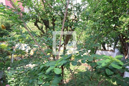 Casa à venda com 320m², 3 quartos e 6 vagasJardim dos fundos 