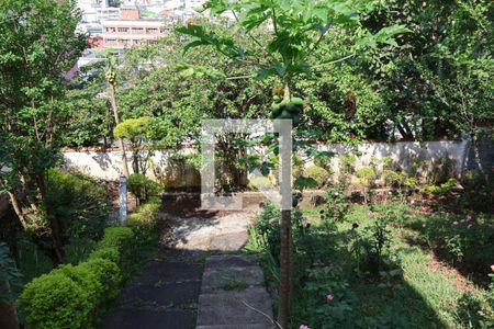 Casa à venda com 320m², 3 quartos e 6 vagasJardim dos fundos 