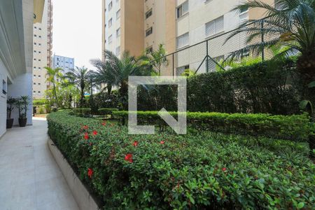 Apartamento para alugar com 130m², 3 quartos e 3 vagasJardim