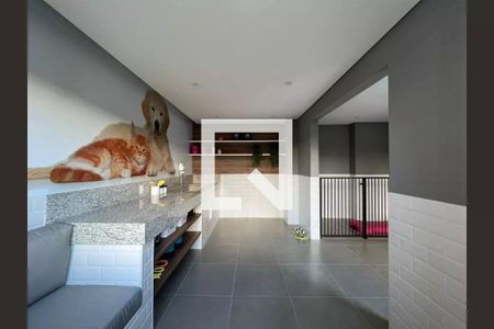 Apartamento para alugar com 35m², 2 quartos e sem vaga Apartamento para alugar com 35m², 2 quartos e sem vagaPet Care