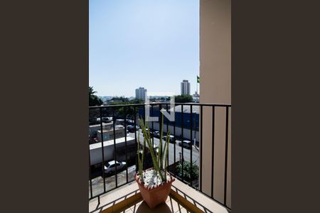 Varanda de apartamento para alugar com 2 quartos, 65m² em Vila Santa Catarina, São Paulo