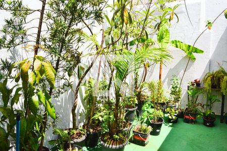 Casa à venda com 750m², 3 quartos e 4 vagasÁrea comum