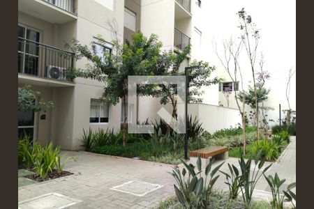 Jardim de apartamento à venda com 3 quartos, 88m² em Vila Guilherme, São Paulo