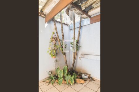 Casa para alugar com 260m², 3 quartos e 4 vagasDetalhe do Jardim