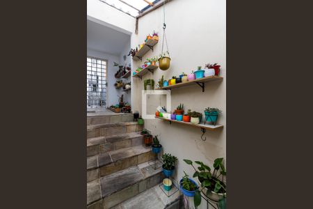 Casa para alugar com 260m², 6 quartos e 2 vagasEntrada